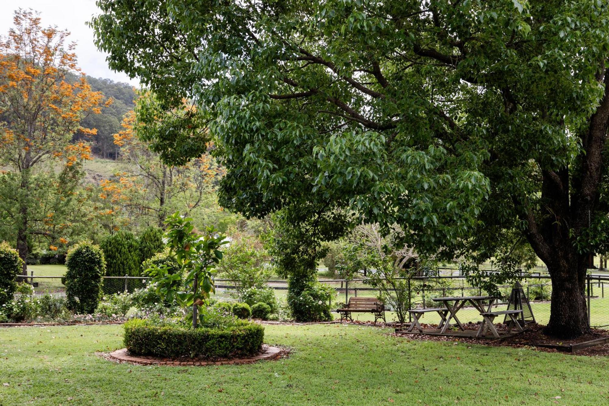 Cottage On Lamington Canungra Exterior foto